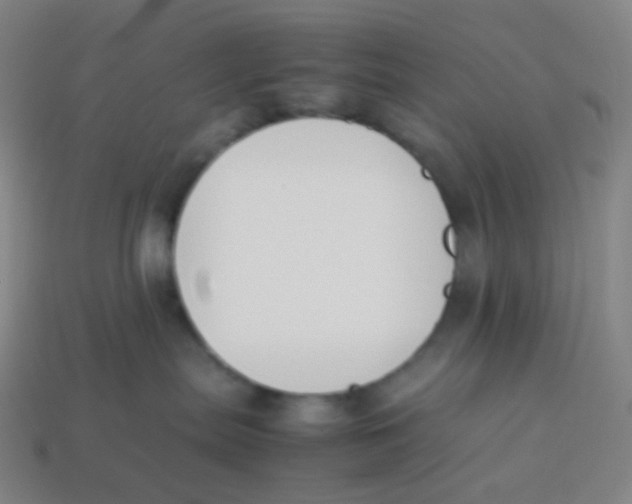 X0000113890287200910221423