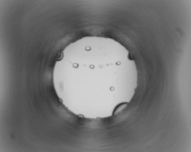 X0000113890288200910221423