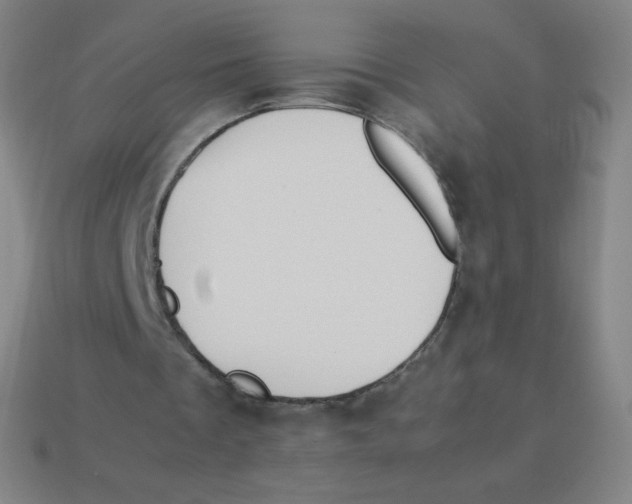 X0000113890289200910221423