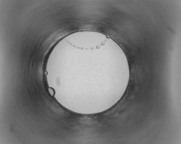 X0000113890290200910221423