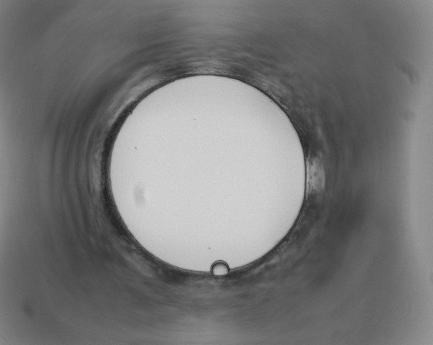 X0000113890291200910221423