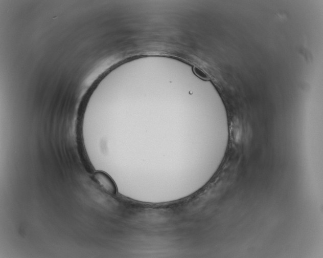 X0000113890292200910221422