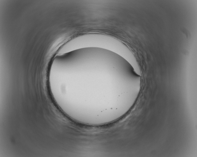 X0000113890293200910221422