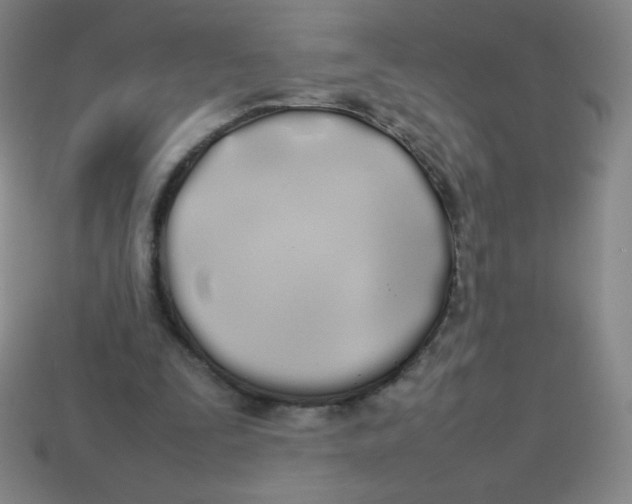 X0000113890295200910221422