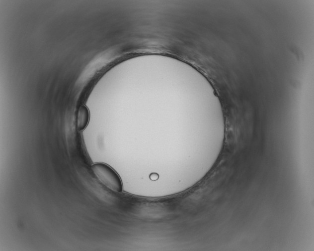 X0000113890296200910221422