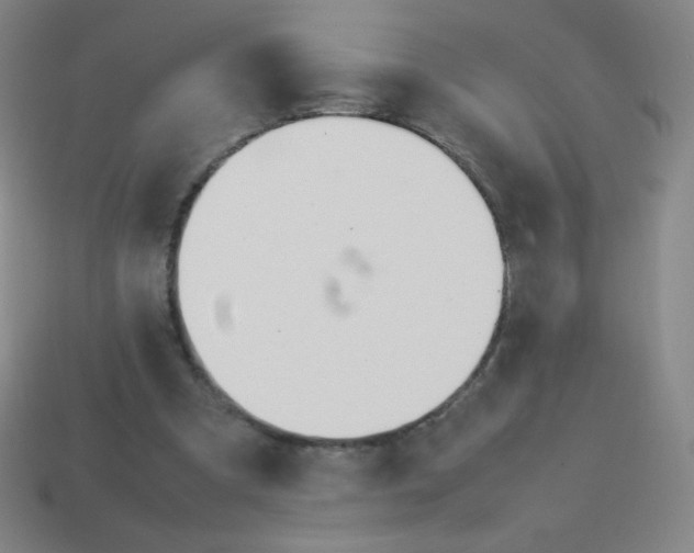 X0000113890297200910221422
