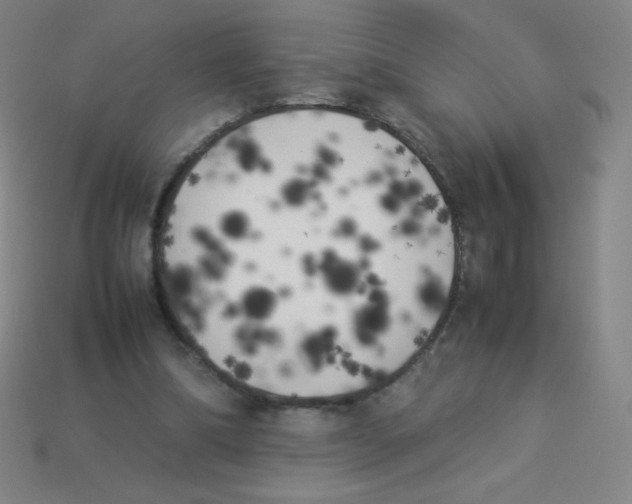 X0000113890298200910221422