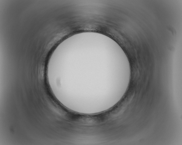 X0000113890299200910221422