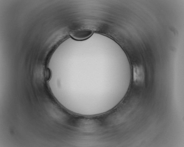 X0000113890300200910221422
