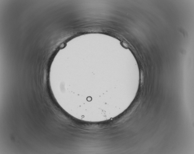 X0000113890301200910221422