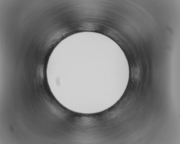 X0000113890302200910221422