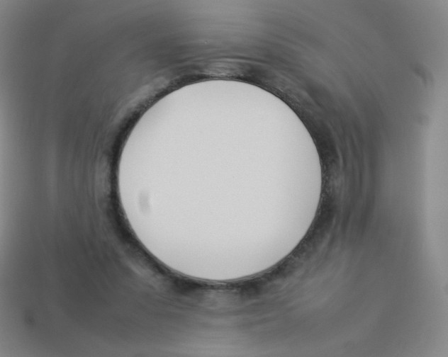 X0000113890303200910221422
