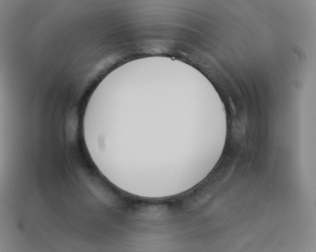 X0000113890304200910221422