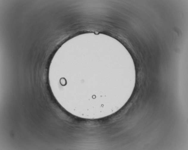 X0000113890305200910221422