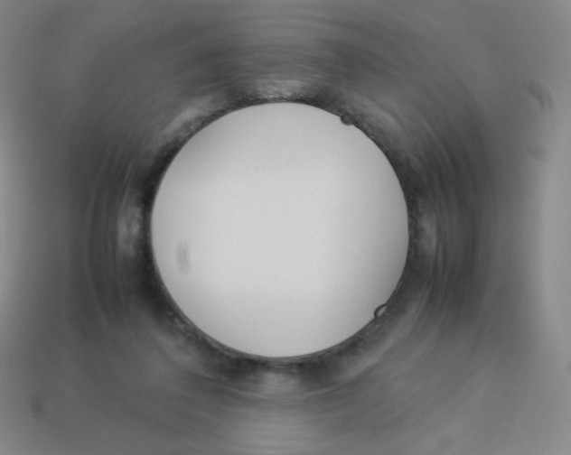 X0000113890308200910221422