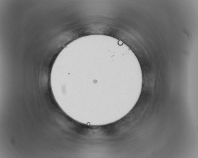 X0000113890309200910221422