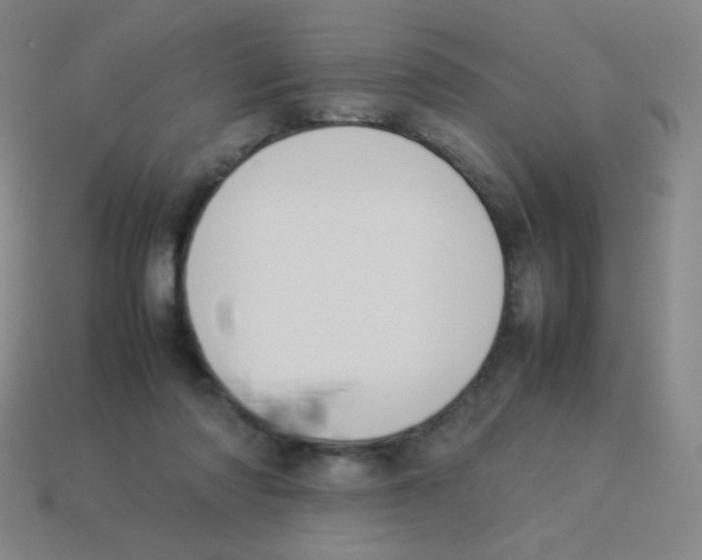 X0000113890310200910221422