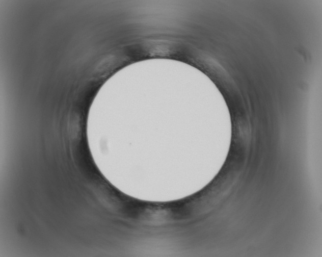X0000113890311200910221422