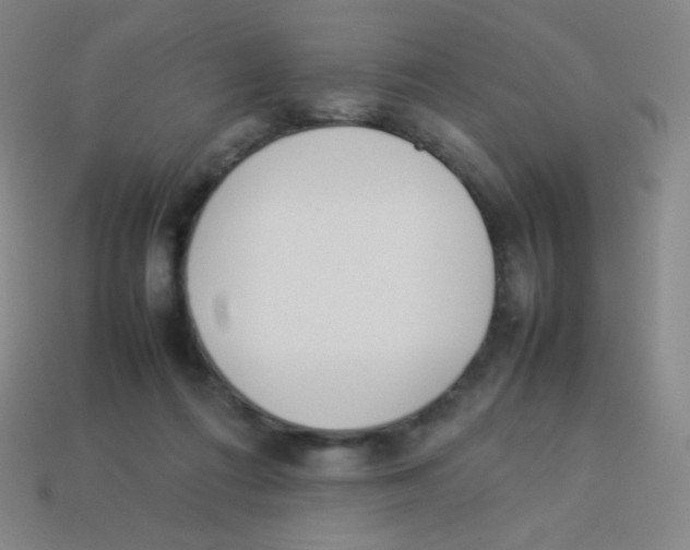 X0000113890312200910221422