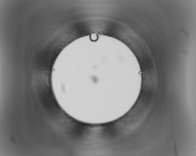 X0000113890313200910221422