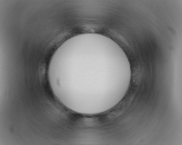 X0000113890314200910221422