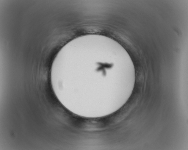 X0000113890315200910221422
