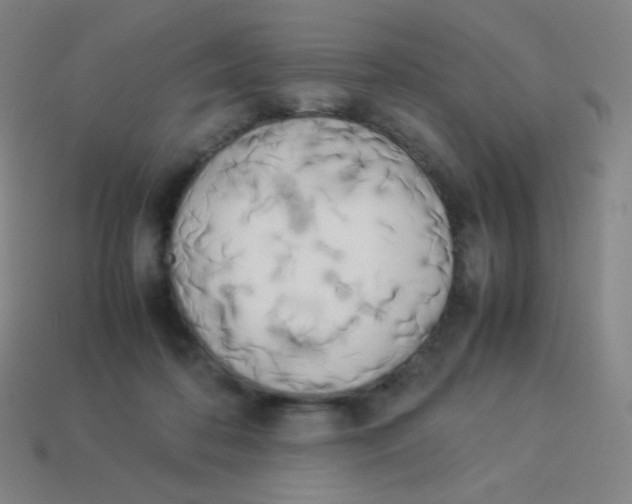 X0000113890316200910221422