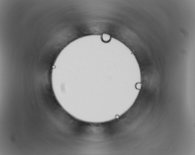 X0000113890317200910221422