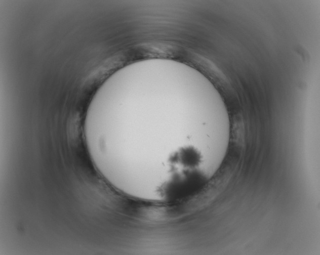 X0000113890318200910221422