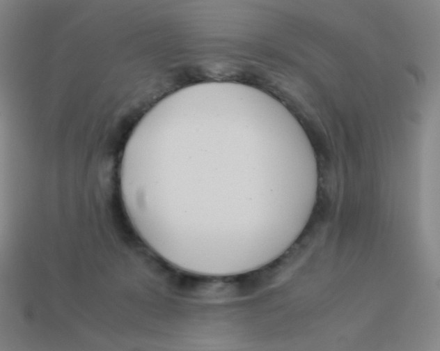 X0000113890319200910221422
