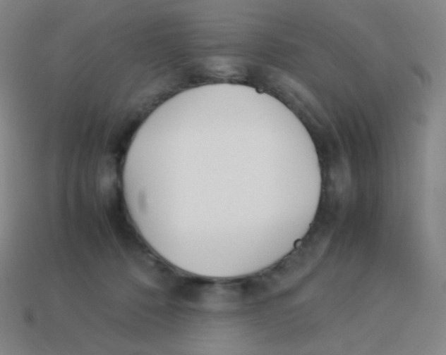 X0000113890320200910221422