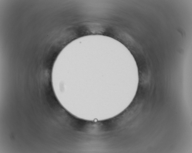 X0000113890321200910221422