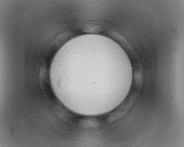 X0000113890322200910221422