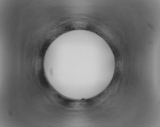 X0000113890323200910221422