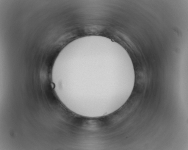 X0000113890324200910221422