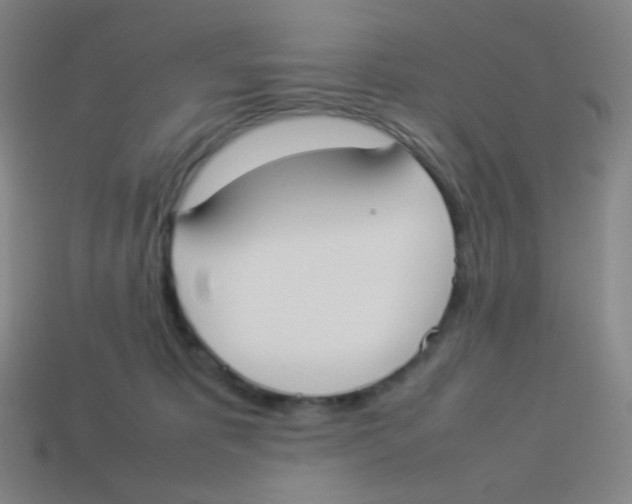 X0000113890325200910221422