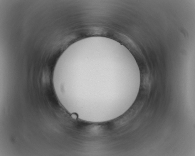 X0000113890326200910221422