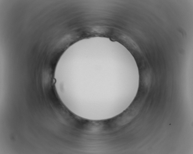 X0000113890328200910221422