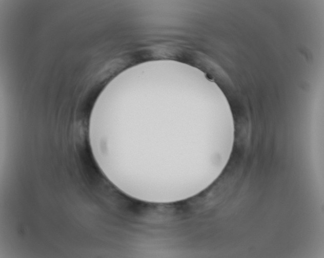 X0000113890329200910221422