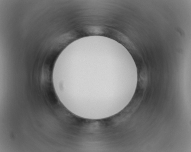 X0000113890330200910221422