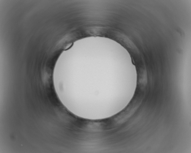 X0000113890332200910221422