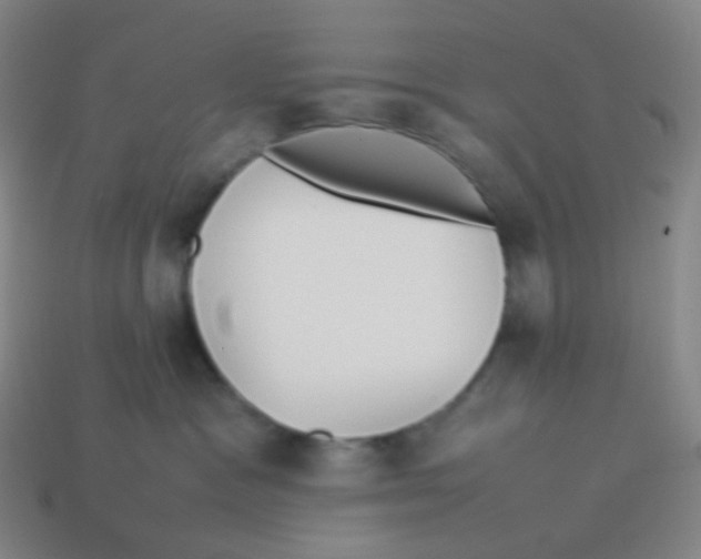 X0000113890333200910221422