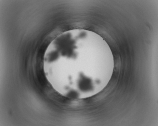 X0000113890334200910221422