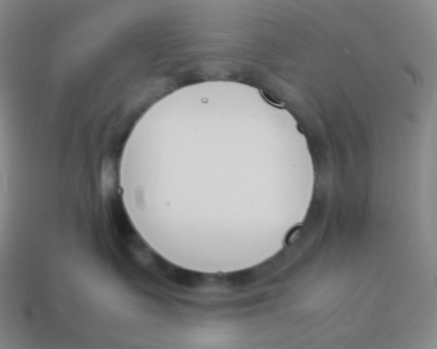 X0000113890335200910221422