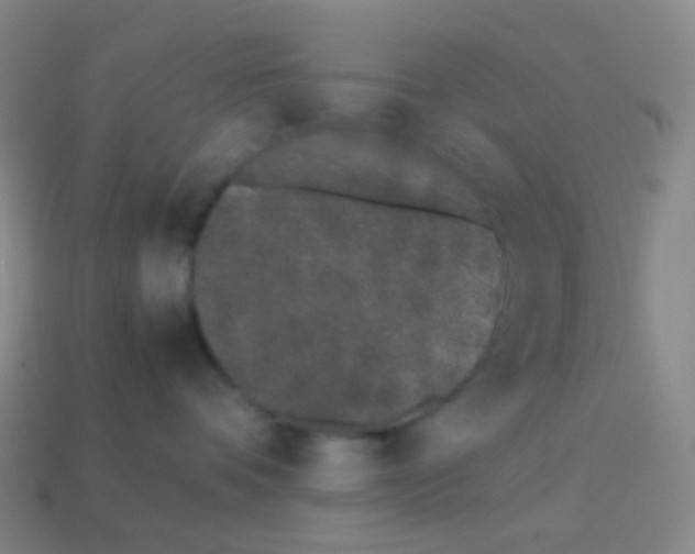 X0000113890336200910221422