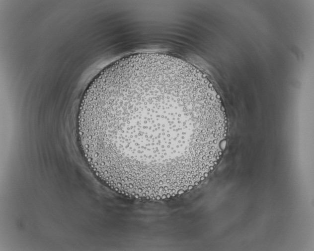 X0000113890337200910221421