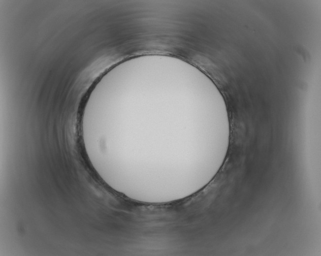 X0000113890338200910221421