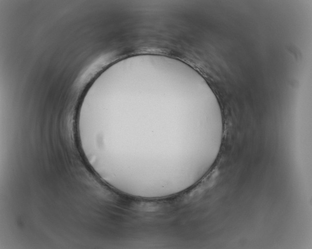 X0000113890341200910221421