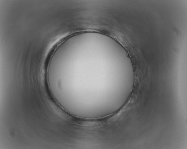 X0000113890342200910221421