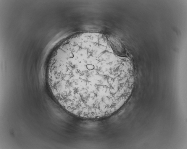 X0000113890343200910221421